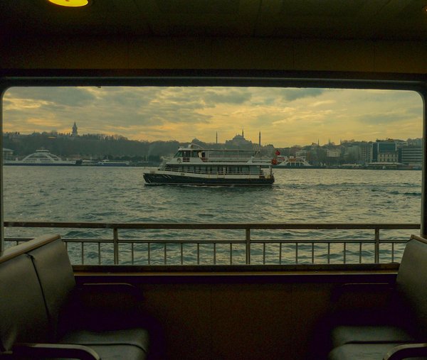 Quelles croisières offrent des excursions pour observer les baleines en Norvège?