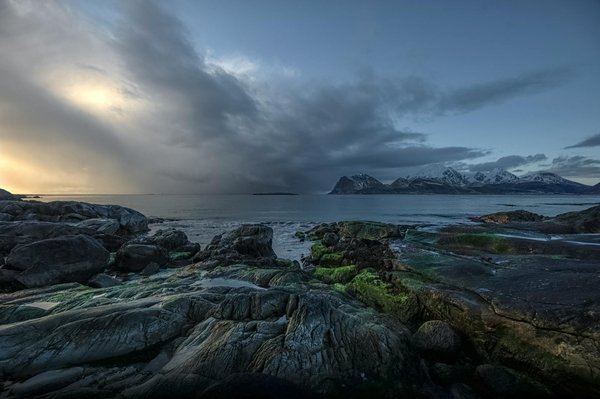 Où apprendre la cuisine traditionnelle vietnamienne à Hanoï : ateliers et chefs recommandés ?